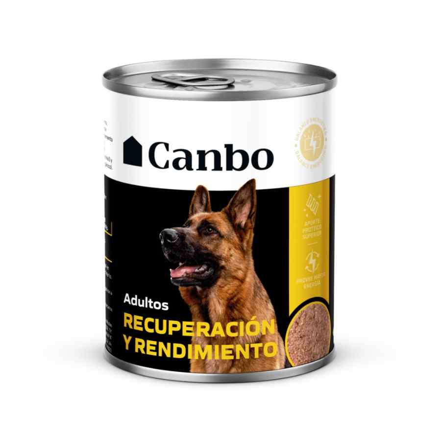 Canbo Enlatado Energético 330 g image number null